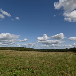 TimeLaps